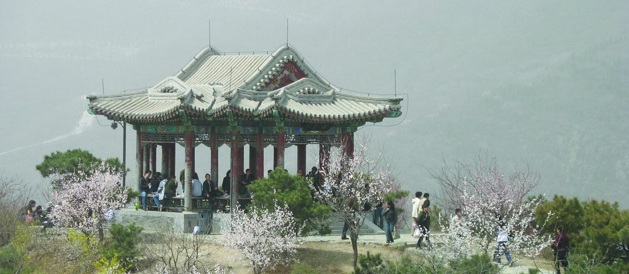 <strong>Cay Dollerup</strong>